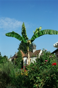 Daisendorf - Kapelle