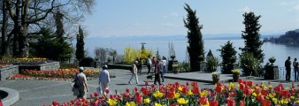 Mainau Banner Mainau Banner