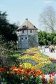 Mainau Gärtnerturm03