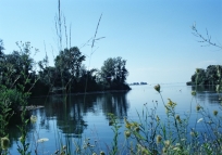 Naturschutzgebiet Fussach an der Rheinmündung