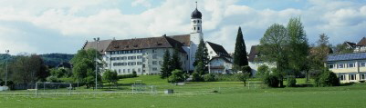 Öhningen - Klosterkirche  120 x 401